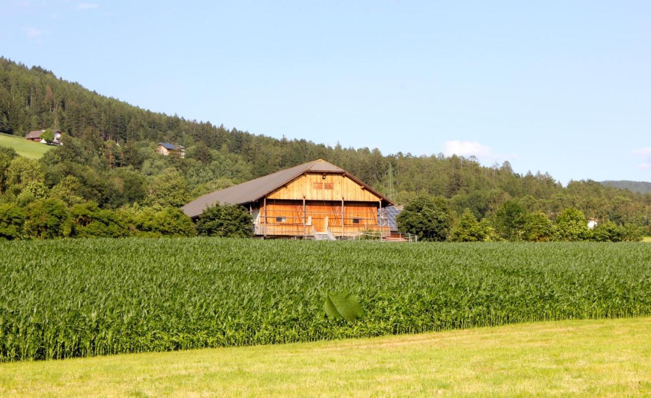 Apartmán Schoenhuberhof - Panoramalage Brunico Exteriér fotografie